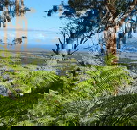 Escarpment - Accommodation VIC