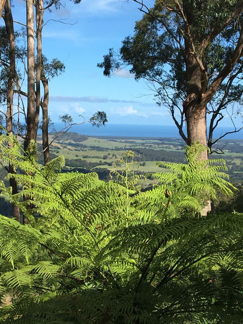 Escarpment - Accommodation VIC 0