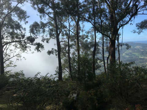 Escarpment - Accommodation VIC 2