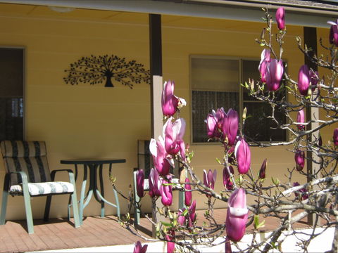 Figtree Cottage - Accommodation VIC 1