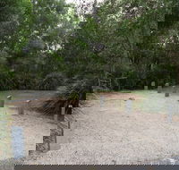 Springbrook National Park camping - Accommodation VIC