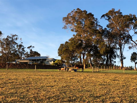 Great Southern Outback Tours & Accommodation - Accommodation VIC 2