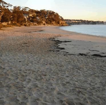 Beachhaven Bed & Breakfast - Accommodation VIC 5