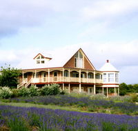 Serendipity Lavender Farm - Accommodation VIC