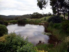 Carolins Organic Farm - Accommodation VIC 1