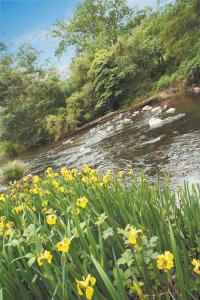 Grange Yarra Valley - Accommodation VIC 4