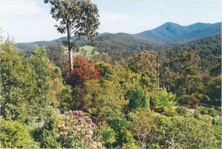 Helgrah Cottage - Accommodation VIC 5