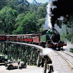 Yuulong Bed And Breakfast - Accommodation VIC 5