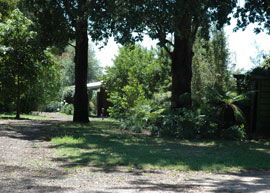 Bloomfield Cottages - Accommodation VIC 2
