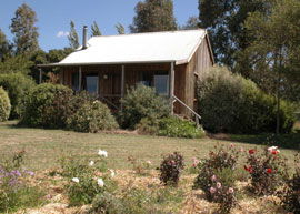 Bloomfield Cottages - Accommodation VIC 3