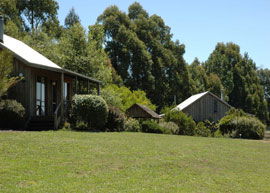 Bloomfield Cottages - Accommodation VIC 4