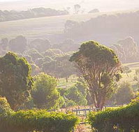 Mackas Farm - Accommodation VIC