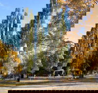 Omeo Caravan Park - Accommodation VIC
