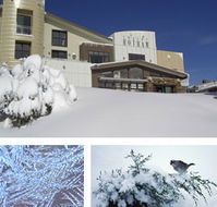 Chalet Hotham - Accommodation VIC