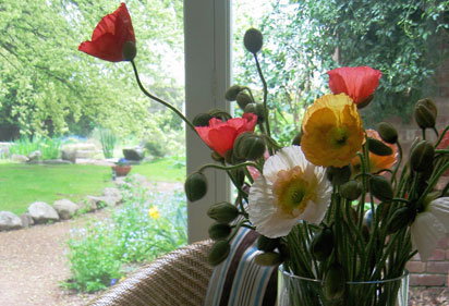 Farmers Arms Retreat - Accommodation VIC 1