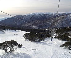 Trackers Mountain Lodge - Accommodation VIC 2