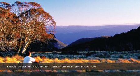 Alpine View Apartments - Accommodation VIC 1