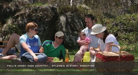 Alpine View Apartments - Accommodation VIC 2
