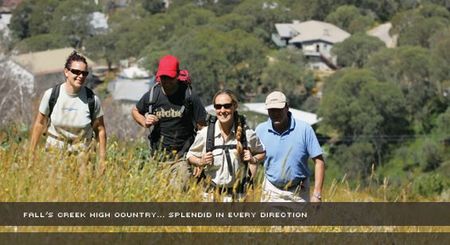 Alpine View Apartments - Accommodation VIC 3