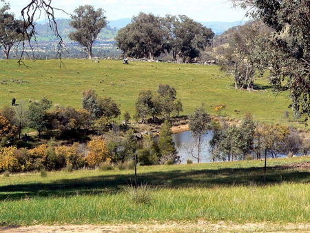 Gaddleen Grove Cottages - Accommodation VIC 3