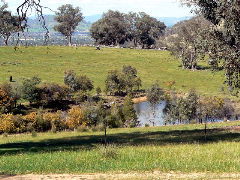 Gaddleen Grove Cottages - Accommodation VIC 5