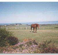 First Class Bed and Breakfast - Accommodation VIC