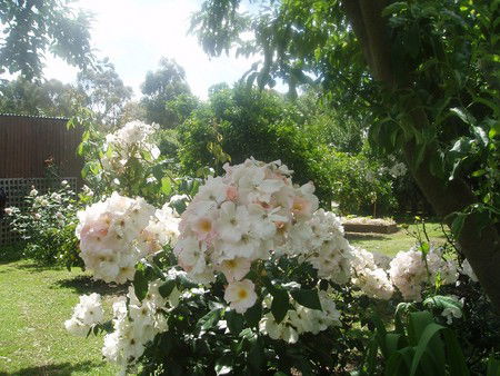 Hudspeth House Bed And Breakfast - Accommodation VIC 3