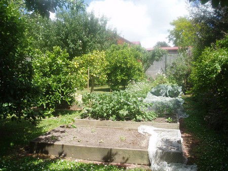 Hudspeth House Bed And Breakfast - Accommodation VIC 4