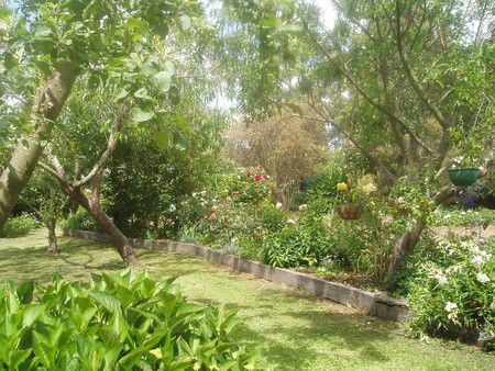 Hudspeth House Bed And Breakfast - Accommodation VIC 5