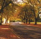 La Trobe at Beechworth - Accommodation VIC