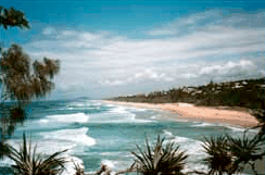 Melaluka And Costa Bella Luxury Apartments - Accommodation VIC 1