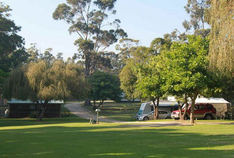 A Wangralea Caravan Park - Accommodation VIC 3