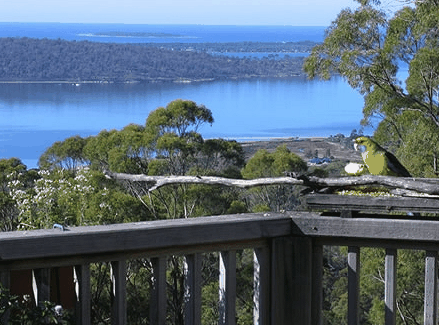 Bed in the Treetops - Accommodation VIC