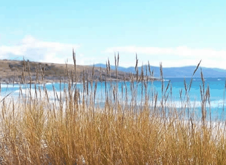 White Sands Estate - Accommodation VIC