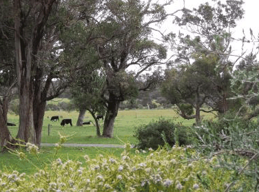 Woody Grange Chalets - Accommodation VIC 3