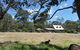 Charnigup Farm Bed & Breakfast - thumb 0