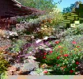 Chestnut Brook Cottage - Accommodation VIC