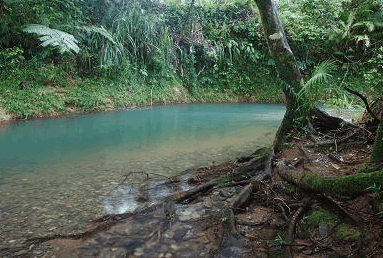 Diwan QLD Accommodation VIC