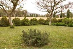 Claremont Cottage - Accommodation VIC 2