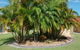 Yamba Motor Inn - thumb 5