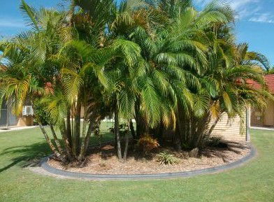 Yamba Motor Inn - Accommodation VIC 5
