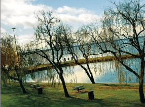 Lake Mulwala Holiday Park - Accommodation VIC 2