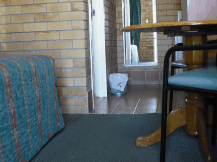 Dragon  Phoenix Motel - Accommodation VIC