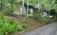 Tree Tops Lodge Cairns - thumb 1