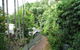 Tree Tops Lodge Cairns - thumb 2
