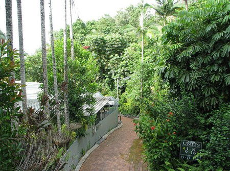 Tree Tops Lodge Cairns - Accommodation VIC 2