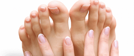 Ella Bache - Accommodation VIC 1