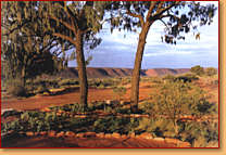 Kings Creek Station - Accommodation VIC 1