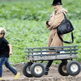 Perth City Farm Organic Markets - Accommodation VIC 0