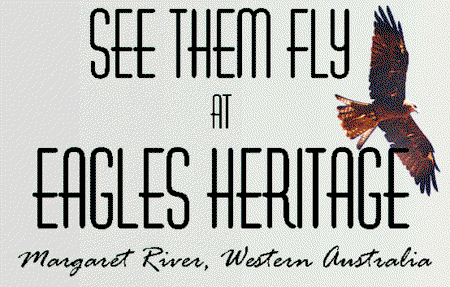 Eagles Heritage Raptor Wildlife Centre - Accommodation VIC 0